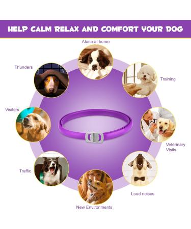 Bieyoc Calming Collar for Dogs 3 Packs Dog Anxiety Relief Adjustable Calming Collar for dogs Separation Anxiety Relief Stress 60 Days Long Lasting Calming Effect for Large Middle and Small Dogs - Buy Online on SooperMarket.com