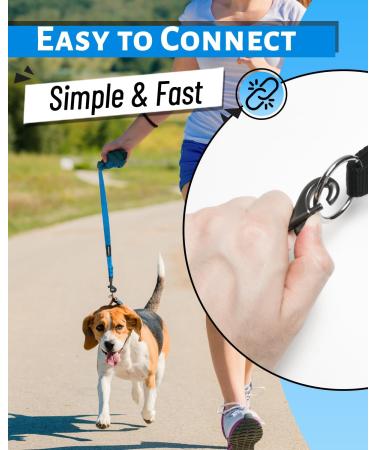 Looxmeer Dog Tow Lines - 3m to 30m Training Lead | Robust Neon Blue with Storage Bag - Buy Online on SooperMarket.com