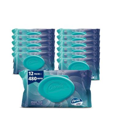 Charmin Flushable Wipes, 12 packs of 40 Flushable Wipes, 480 Wipes Total (Packaging May Vary)
