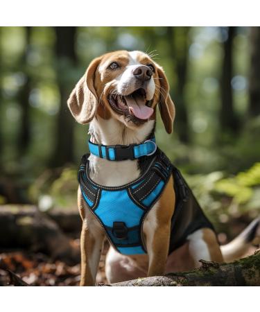 Buy Joytale Reflective Dog Collar for Small Dogs - Blue S (Pack of 1) | International Shipping Available - Buy Online on SooperMarket.com