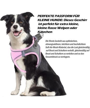 Shop Dog Harness & Puppy Tableware - Bright Cat Dishes & Leash for Small Dogs (Pink S) - Buy Online on SooperMarket.com