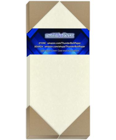 125 White Parchment 65lb Cover Weight Paper - 4 X 9 (4X9 Inches) 10 Envelope Insert Size - Printable Cardstock Colored Sheets Old Parchment Semblance