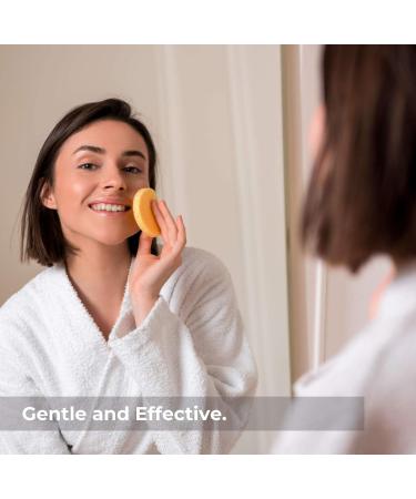 Massaging Dry Brushing Body Brush + Compressed Facial Sponges Set for Softer, Clearer, More Beautiful Skin Naturally - Buy Online on SooperMarket.com