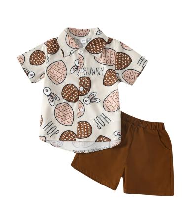 Toddler Boys Short Sleeve Easter Cartoon Rabbit Prints T Shirt Tops Shorts Child Kids Gentleman Infant Bow Tie Outfit Brown 3-4T