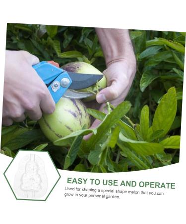 Milisten Gardening Tools 6 pcs Watermelon Mould Tools Clear Supplies Growing Garden Vegetable Multifunction Moldvegetable Transparentx2pcs 9x8cmx2pcs - Buy Online on SooperMarket.com