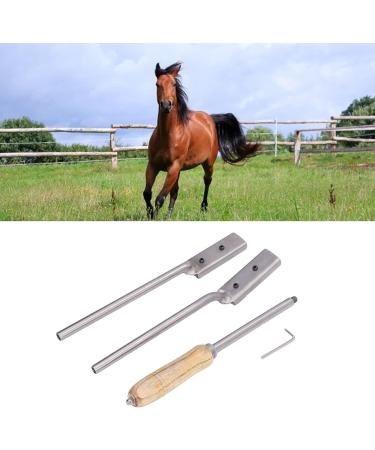 4Pcs Veterinary Horse Dental Float Rasp High Flexibility Fine Polishing Smoother Surfaces Equine Dental Kit for Animal Farm - Buy Online on SooperMarket.com