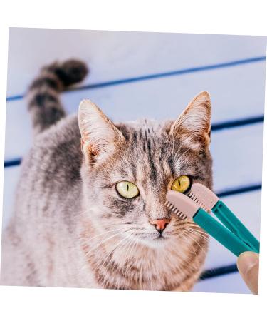 Kisangel 2pcs Eye Gum Cleaner Tear Marks Brush for Dogs Toallitas Desmaquillantes Pet Comb Dog Eye Cleaner Pp 10.00X3.20X1.00CM Assorted Color - Buy Online on SooperMarket.com