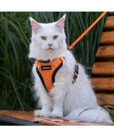 Rabbitgoo Cat Dishes & Adjustable Breakage-Proof Cat Harness Set - Orange M (1 Pack) for International Shipping - Buy Online on SooperMarket.com