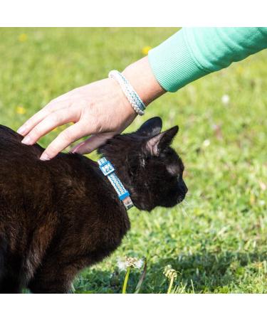 Pettsie Cat Kitten Collar - Breakaway Safety & Friendship Bracelet - Durable 100% Cotton - Adjustable with D-Ring - Blue - Gift Box Included - Buy Online on SooperMarket.com