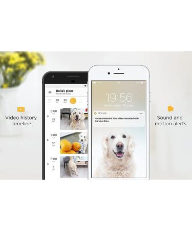 Petcube 2017: Smart Pet Camera with Interactive Laser Toy | HD Video, Two-Way Audio, Night Vision | App-Enabled Monitoring for Dog/Cat Safety - Buy Online on SooperMarket.com