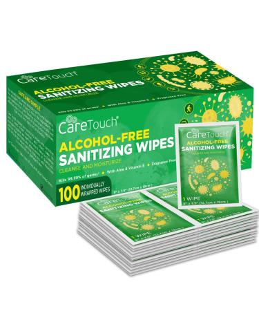 Care Touch Alcohol-Free Hand Sanitizer Wipes  100 Hand Sanitizing Wipes Individually Wrapped - Travel Size Wipes with Vitamin-E & Aloe Vera for Adults, Babies. For Travel, Home, Office & Gym