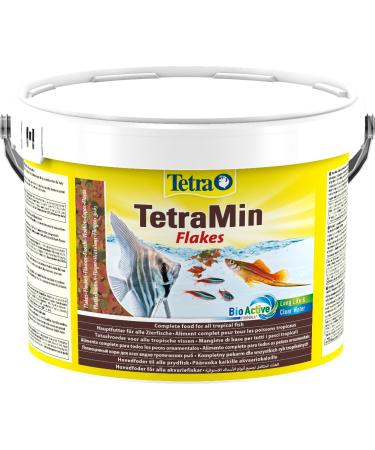 Tetramine flakes - fishing feed in flake shape for all ornamental fish balanced mixture for healthy fish and clear water 10 l buckets flakes 2.1 kg (1 Pack)