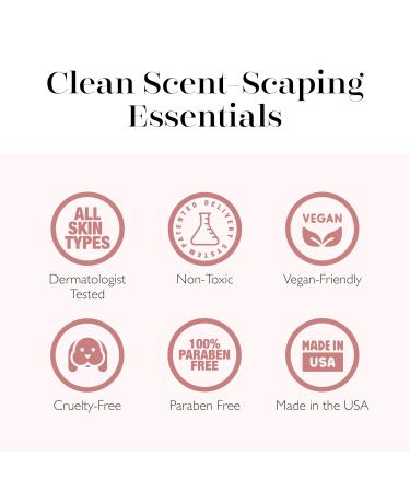 SPONGELL Grapefruit Cassis Refill Hand & Body Wash - Luxury Soap with Zesty Grapefruit & Vanilla | 11 fl. oz. - Nourishing International Shipping Available - Buy Online on SooperMarket.com