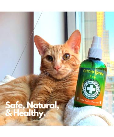 Meowijuana Organic High-Potency Catnip Spray Bundle - 3oz | USA-Grown | For Cat Toys, Teasers & Scratchers | Feline Approved - Buy Online on SooperMarket.com