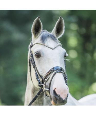 Premium Glitter Horse Stirring Strap & Leather Headband | Curved Bridle Straps for Warmbloods Thoroughbreds & Ponies - Full Black/LCT - Buy Online on SooperMarket.com