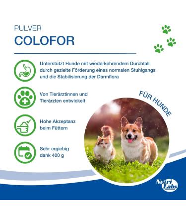 Nutrilabs Colofor Powder for Dogs 400g - Nutritional Supplement for Dog Diarrhea with Bentonite L-Glutamine & Prebiotics - Former Estifor Powder - Buy Online on SooperMarket.com