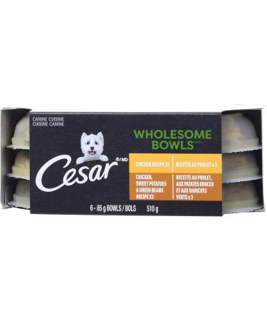 CESAR Wholesome Bowls Wet Dog Food - Chicken - Chicken Sweet Potato & Green Beans 6x85g Variety Pack Chicken - Chicken Sweet Potato & Green Beans 85 g (Pack of 6) - Buy Online on SooperMarket.com