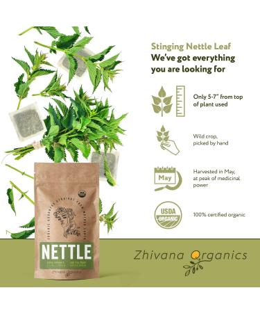 Organic Stinging Nettle Tea - 100 Bags - Joint & Blood Sugar Support, Allergy Relief - Urtica Tea - Buy Online on SooperMarket.com