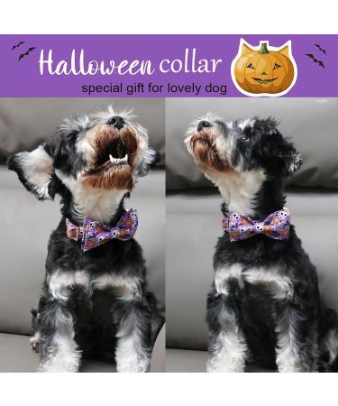 Shop Cute Pumpkin Dog Collar - Halloween Pet Accessories | Skull & Bat Design - Small Size - Perfect for Spooky Season! - Buy Online on SooperMarket.com