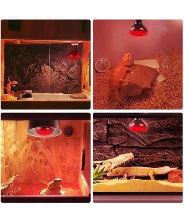 Buy Lucky Herp Reptiles Heat Lamp 100W 2-Pack | Infrared Red Light Terrarium Heating Lamp for Turtles Bearded Dragons Chickens & Dogs - Buy Online on SooperMarket.com