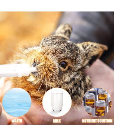 Buy Baby Bird Feeding Syringe - 1 Piece Dispenser with 20 Sterile Hoses for Small Animals Kittens & Puppies - Ideal for Scientific & Industrial Labs - Buy Online on SooperMarket.com