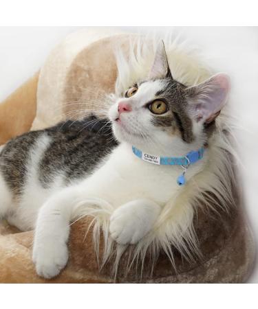 Tagme Cat Neck Band - Reflective 2-Pack with Name/Address Shield for Cats & Puppies | Sky Blue 18-28 cm - Buy Online on SooperMarket.com