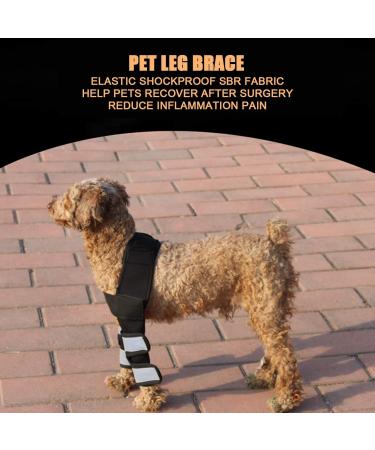 Dog Leg Brace Stability Pet Elbow Brace Convenient Steady for Pet Elbow Pad Puppy Dog(Black M) - Buy Online on SooperMarket.com