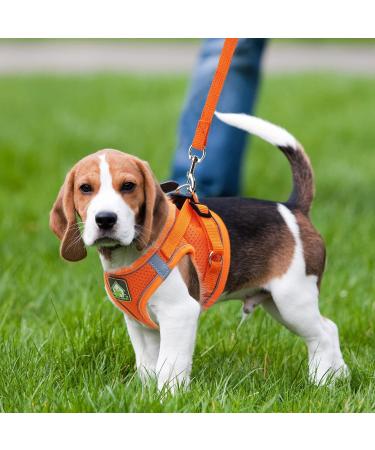 Zhenle Adjustable Reflective Cat Dishes Set with Leash - Orange Collars & Breast Dishes for Cats | International Shipping Available - Buy Online on SooperMarket.com