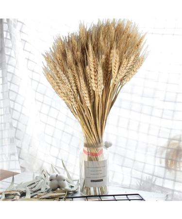 Dried Wheat Stalks 100Pcs Dried Wheat Sheaves Rustic Natural Ears of Wheat Natural Wheat Decor for Home Farmhouse Fireplace Wedding Party and Table/523 - Buy Online on SooperMarket.com