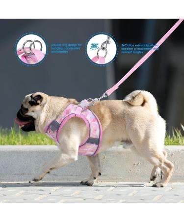 BriFit Cat Dishes with 150cm Leash - High Quality Breakfast Set for Cats & Small Dogs (Pink XS) - Perfect for Pets 6.61-1lb - Buy Online on SooperMarket.com