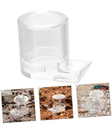 TOGEVAL Pet Water Feeder Ant Watering Station Ant Nest Water Cup Ant Feeding Cup Ant Bottle Feeder Ant Water Feeder Ants Waterer Ant Waterer for Garden Water Feeding Cup for Ant Nest - Buy Online on SooperMarket.com