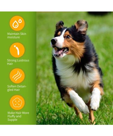 Nobleza Dog & Cat Shampoo | Anti-Itching Anti-Bacterial Sensitive Formula for Puppies & Kittens | 250ml Lemon Grass - Buy Online on SooperMarket.com