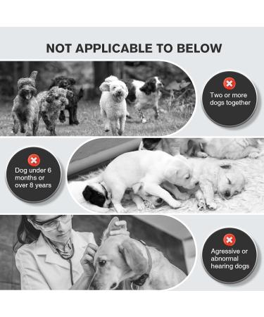 Bubbacare Anti Barking Device - Automatic Ultrasound Bark Control for All Dog Sizes - 3 Modes for Indoor & Outdoor Use - Buy Online on SooperMarket.com