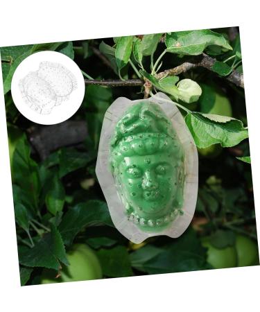 CIYODO Fruits Forming Mould Gardener Small for Creative Buddha Ginseng Shaper Growth Reusable Supply Shaped Growing Forming - Buy Online on SooperMarket.com