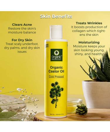 Organic Harvest Cold Pressed Castor Oil 200ml - 100% Pure & Virgin Grade for Skin Moisturization and Hair Growth - Buy Online on SooperMarket.com