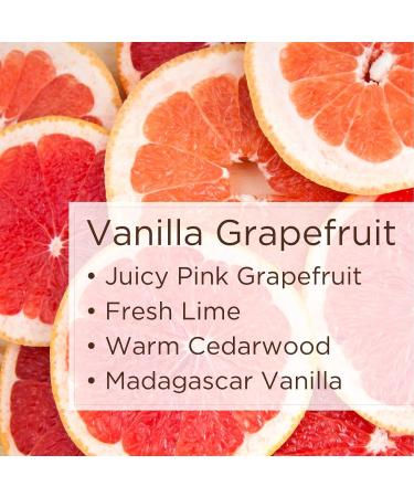 Lavanila Natural Aluminum Free Deodorant 2-Pack Vanilla Grapefruit - The Healthy Deodorant for Men and Women Solid Stick (2 Ounce Each) Vegan Vanilla Grapefruit 2 Ounce (Pack of 2) - Buy Online on SooperMarket.com