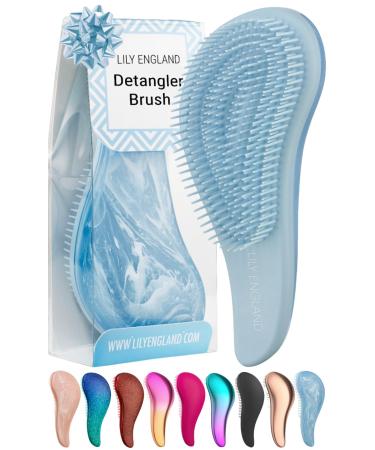 Detangle Hair Brush for Curly Hair Straight Dry & Wet Hair - Detangling Hair Brush for Thick Hair & Fine - Curly Hair Brush for Kids Women & Toddlers - Vegan Detangler Hair Brush by Lily England 1 Count (Pack of 1) Blue Water