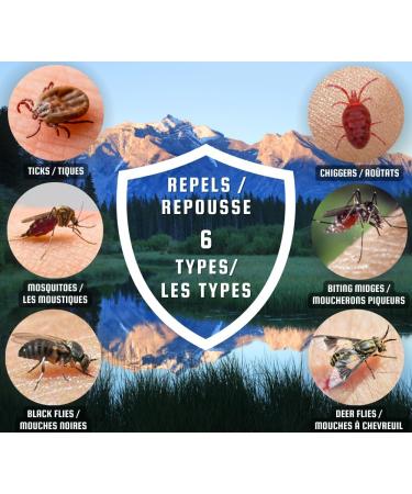 Canadian Shield Mosquito & Insect Repellent | For Hunting Fishing Camping Family Fun and More | 8 Hour of Protection | 30% Deet | (170G) AEROSOL - CSA01 | 3 Packs - Buy Online on SooperMarket.com