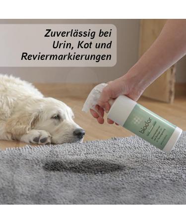 Biodor Animal Spray 750ml | Odor Neutralizer & Enzyme Cleaner for Pets | Remove Dog & Cat Urine & Feces Smells | International Shipping Available - Buy Online on SooperMarket.com