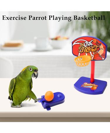 Aedcbaide Bird Parrots Toys - Parakeet Parrot Swing Included - Buy Online on SooperMarket.com