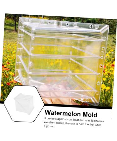 Uonlytech Watermelon Shaping Fruit Tools Pumpkin Growing Molds for Garden Vegetable Shaping Tool Watermelon Modeling Big Rod 15x15cm Transparent - Buy Online on SooperMarket.com
