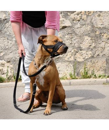 Nylon Soft Dog Muzzle for Biting Prevention and Chewing Control - XL Black - Buy Online on SooperMarket.com