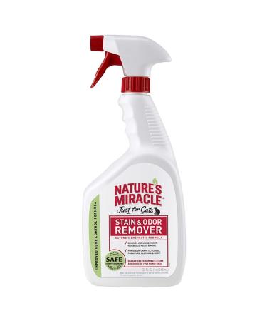PET STAIN&ODOR REMVR32OZ