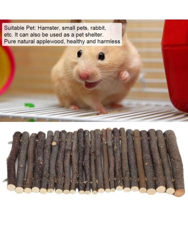 Small Animals Wooden Arch Bridge | Hamster & Guinea Pig Hiding Place | Rodent Conductor Bridge for Ferrets & Chinchillas - Buy Online on SooperMarket.com