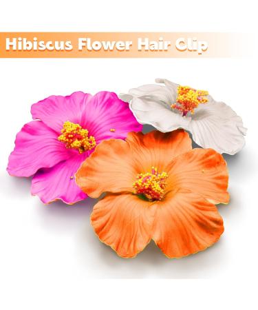 3 Pieces Hawaiian Plumeria Flower Hair Clips Frangipani Artificial Clips Foam Flower Clips for Women Bridal Wedding Luau Beach Tropical Party Decoration 3.15-3.54 Inch (Multi-color) - Buy Online on SooperMarket.com