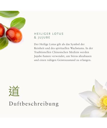 RITUALS The Ritual Of Jing Relaxing Body Scrub 300g - Soothing Mint Exfoliant for Glowing Skin | International Shipping Available - Buy Online on SooperMarket.com