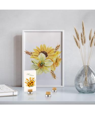 WUWEOT 12 Pack Floral Frog Pins - 0.9 Inch Round Flower Arranger for Small Vase Decoration - Ikebana Supplies - Buy Online on SooperMarket.com
