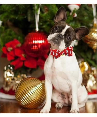 Lionheart Glory Christmas Dog Halison - Adjustable Soft Fly Collars for Small Dogs | Red Penguin Design | Perfect Holiday Gift - Buy Online on SooperMarket.com