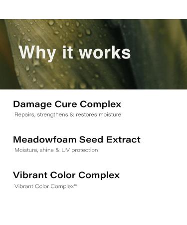 Eufora Beautifying Elixirs Elixirone - Nourishing Hair Treatment for All Hair Types | Shop Internationally - Buy Online on SooperMarket.com