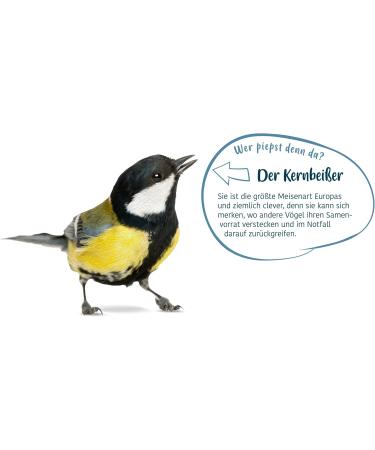 Elles Meisenkn del 6-Pack | 100% Natural Bird Energy Bundle with Berries | Eco-Friendly & Beak-Friendly Wild Bird Food - Buy Online on SooperMarket.com
